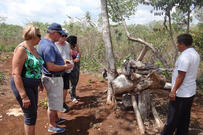 Playa del Carmen Cultural Day Tour - What Travelers Can Expect in Detail