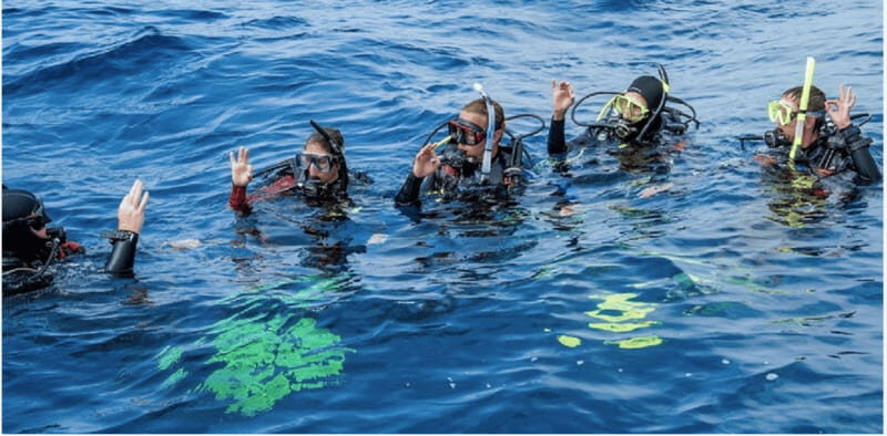 Playa del Carmen: Divemaster Course - What’s Included and What’s Not