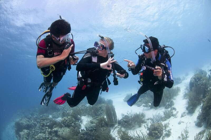 Playa del Carmen: Ultimate PADI Open Water Diver Experience - Who Is This Tour Best For?