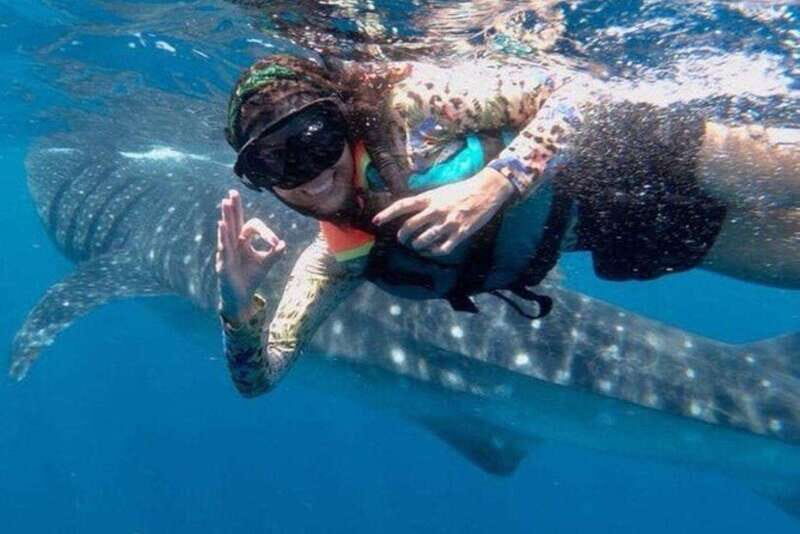 Playa del Carmen:Whale shark Experience in the Caribbean Sea - What to Expect from the Tour