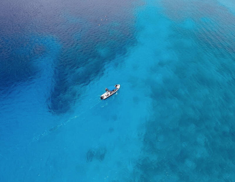 Playa: Dive in Cozumel - Who Is This Tour Best Suited For?