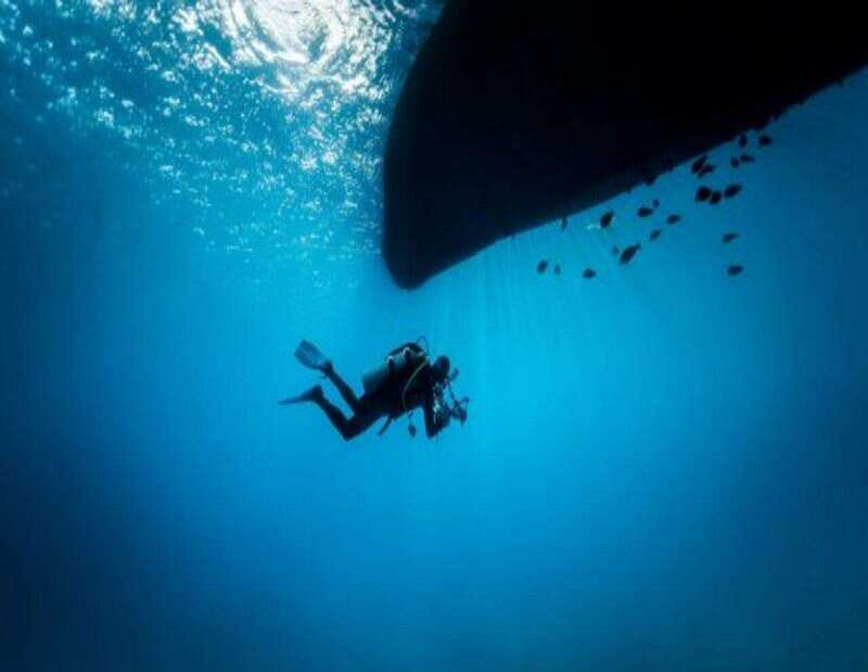 Playa: Wreck Dive - The Experience: What to Expect on Your Wreck Exploration