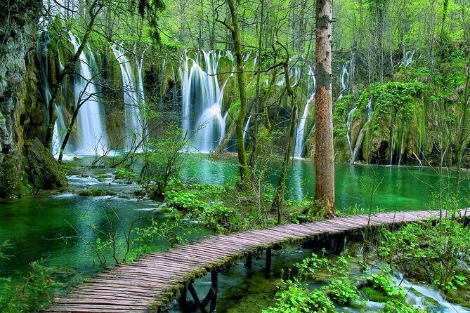Plitvice Lakes National Park Tour from Zadar - Authentic Insights from Reviews