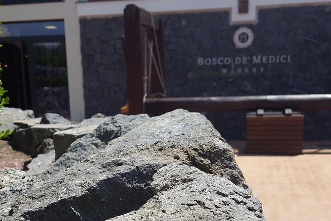 Pompei Archeological site and Wine tasting Experience - The Itinerary: What to Expect