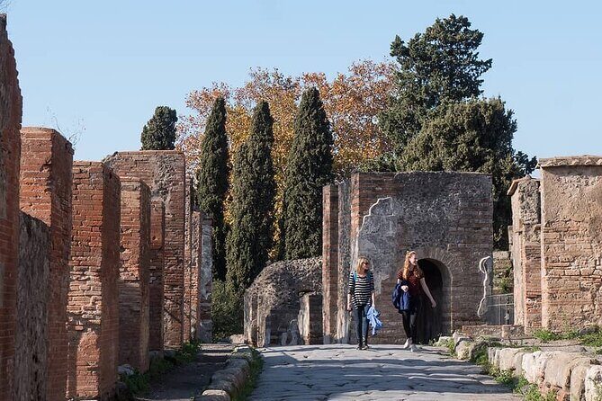 Pompei Private Tour With An Expert Archaeologist Guide - The Experience and the Value