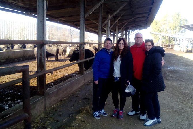 Pompeii and Herculaneum Skip-The-Line with Lunch and Wine Tasting from Rome - The Itinerary: A Close Look at What to Expect