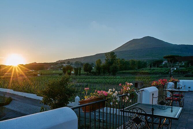 Pompeii and Naples from Rome: Enjoy a Full-Day Tour with Lunch - Pompeii: Walking Through a Time Capsule