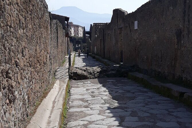 Pompeii: Private Day Tour from Naples - Who Should Book This Tour?
