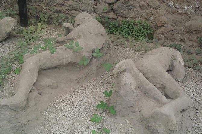 Pompeii Ruins Excursion for 3 hours (round-trip included) - Who Will Love This Tour?