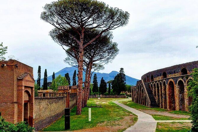 Pompeii Skip the Line Shared Group Tour - The Experience in Detail: What to Expect