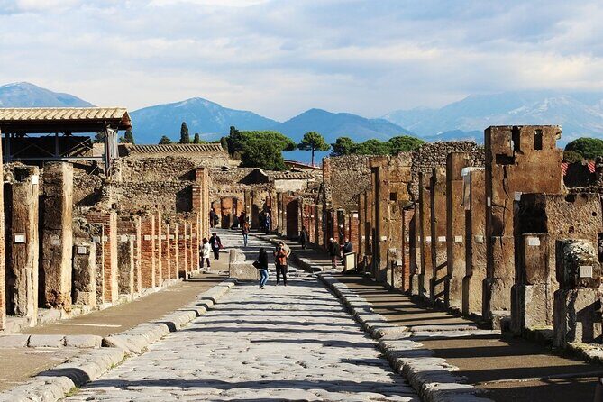 Pompeii Tour and Tasting at the Vesuvius Cellars from Ravello - Analyzing the Value & Experience