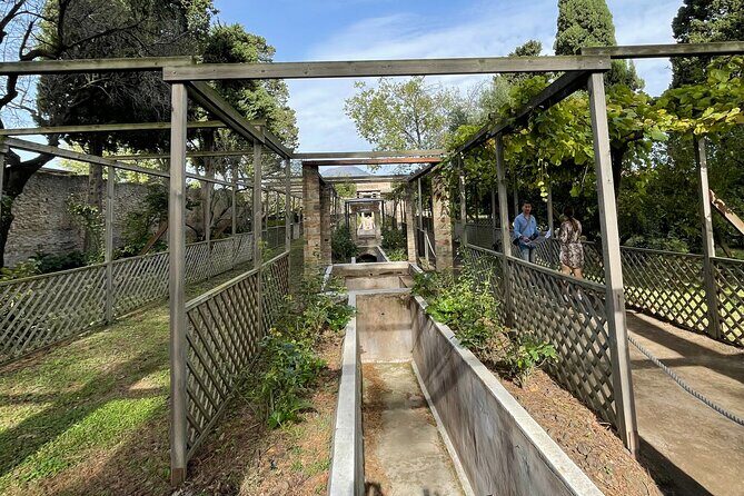 Pompeii Unveiled: 3-Hour Private Tour In-Depth Discovery - Why We Believe This Tour Offers Great Value