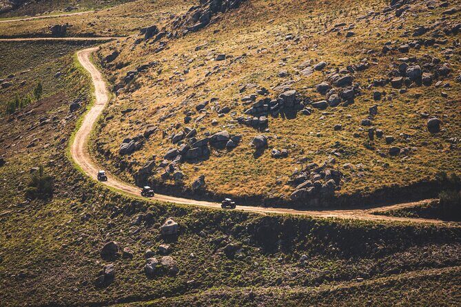 Ponte de Lima Guided Buggy Tour - Value and Cost Analysis