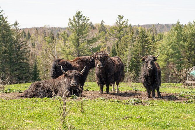 Pontiac Farm Tour - Day Trip From Ottawa & Gatineau - A Closer Look at the Itinerary