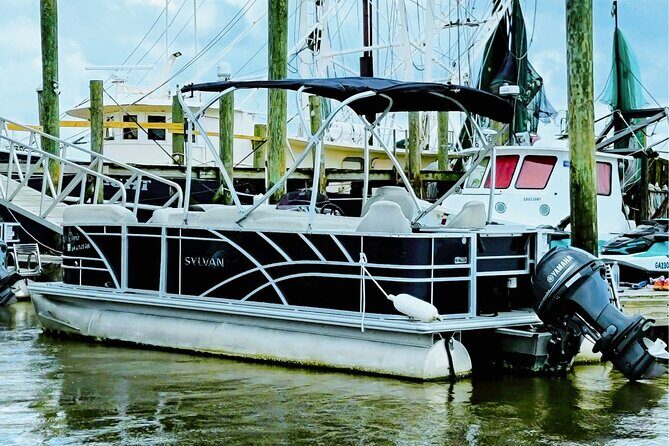 Pontoon Boat Rental Tybee Island - The Value of the Experience