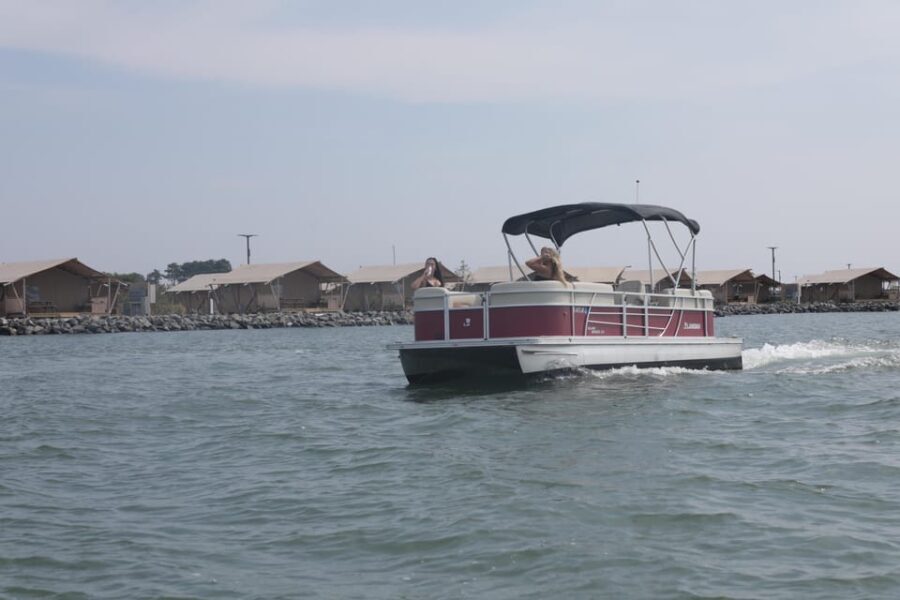 Pontoon Boat Rentals in Chincoteague Island, VA - Wildlife and Scenic Highlights