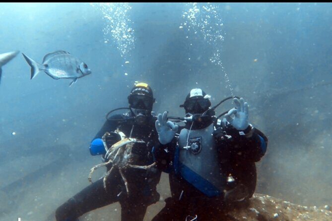 Portimão: Wreck Diving in the Ocean Revival Park - The Details That Matter