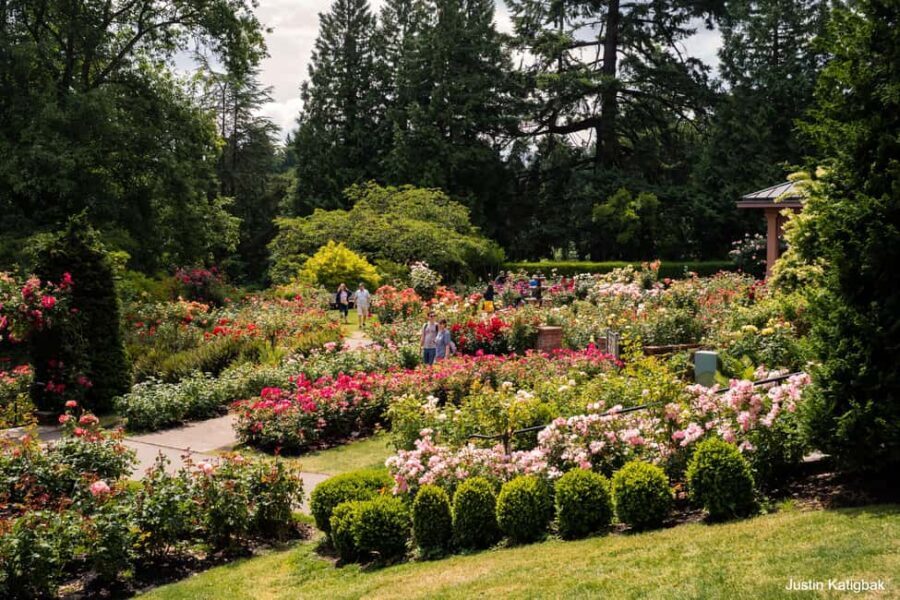 Portland, Oregon: City Highlights Tour with Aerial Tram Ride - What to Expect on the Tour