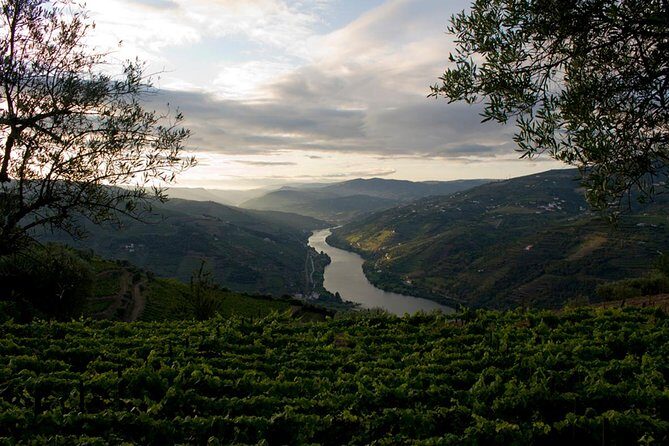 Porto: Day Trip to Douro including lunch and Rivercruise - What the Reviews Say
