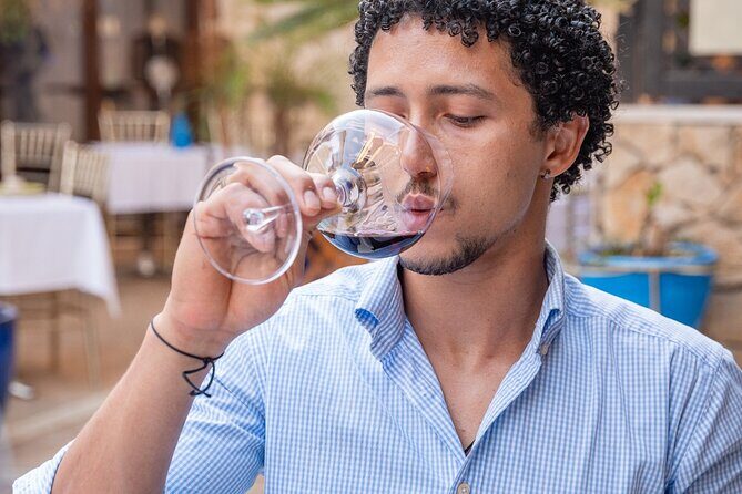 Portuguese Wine Tasting in the heart of Faro - Final Thoughts: Is It Worth It?