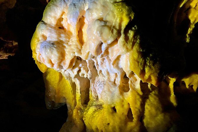 Postojna Cave Day Trip From Ljubljana - FAQ