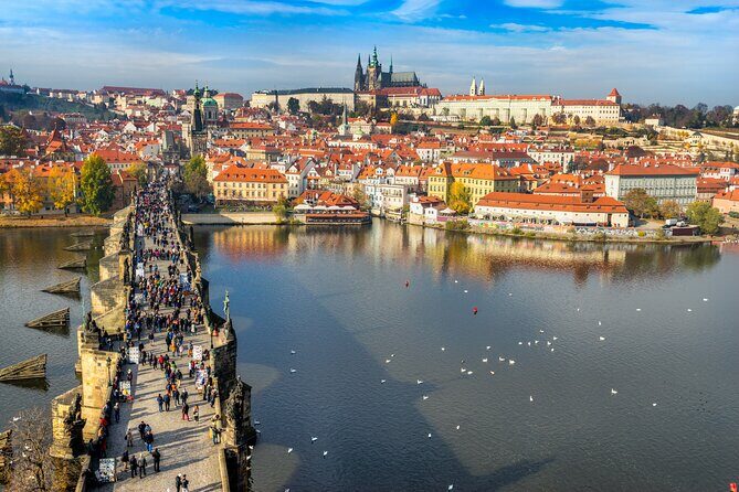 Prague Highlights in Half a Day - Practicalities and Considerations