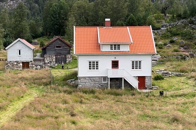 Preikestolen Cruise Cabin and Hiking Adventure - Introduction: Why This Tour Stands Out