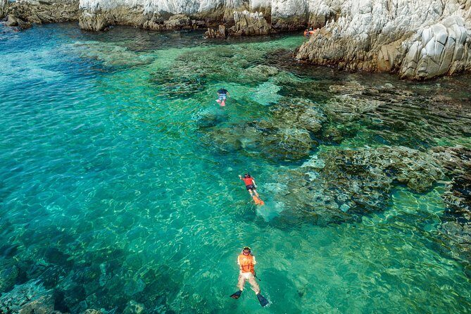 Premium Family Snorkeling Experience - Why This Tour Works for Some Travelers (and Not Others)