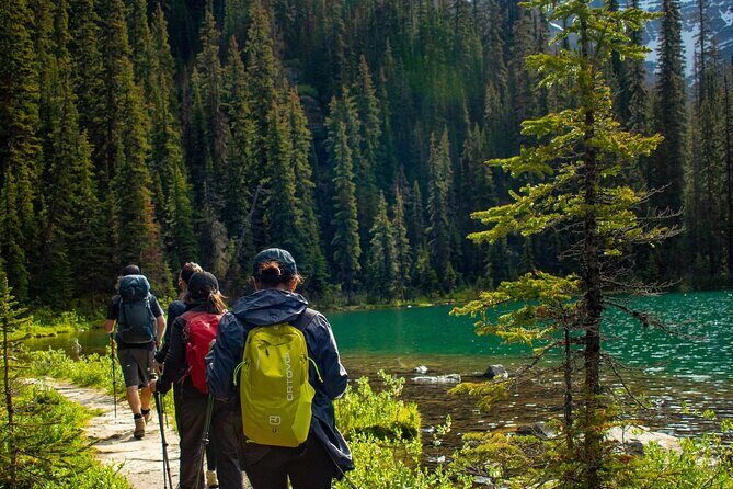 Premium Guided Hiking tours in Banff, Yoho & Kootenay - Who Is This Tour Best For?