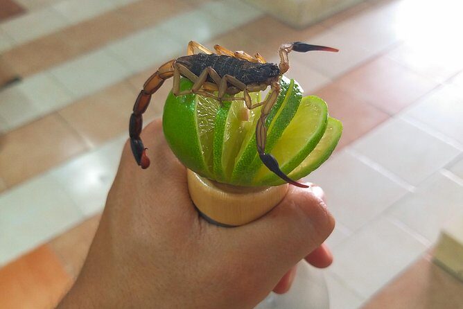 Premium Mezcal Tasting and Class - What Makes This Tour Stand Out?