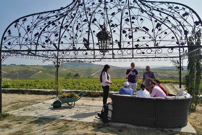 Premium Private Douro Tour: 3 Wineries with Tastings & Lunch - Real Traveler Insights