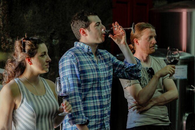 PREMIUM TASTING and TAPAS with GUIDED TOUR - Key Points