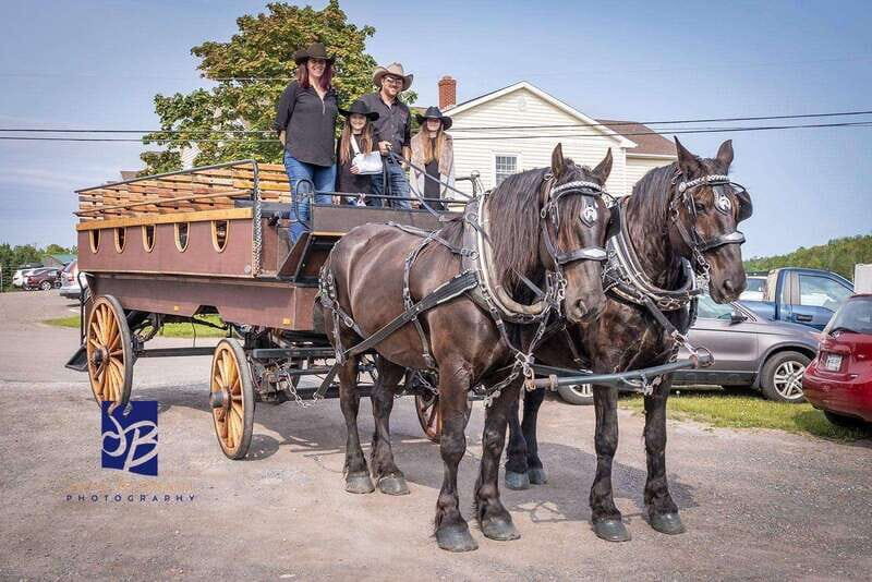 Prince Edward Island: Horse-Drawn Carriage Tour - Authentic Experiences and Genuine Value