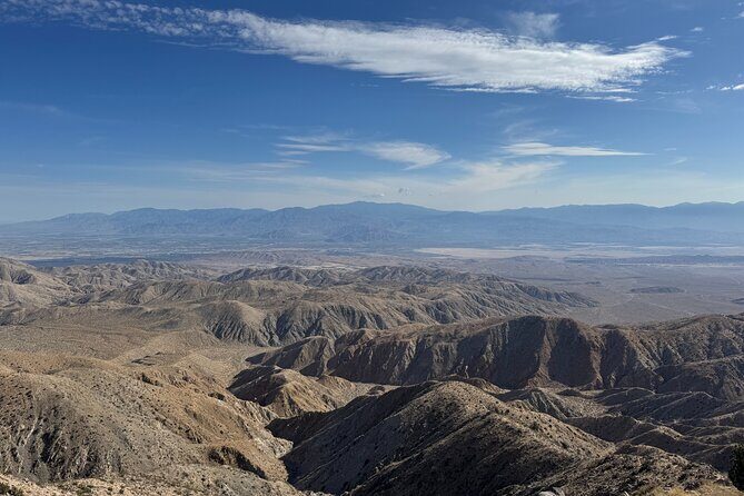 Private 1 Day Tour to Joshua Tree National Park - Transportation and Practical Details