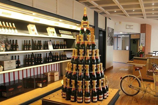 Private 10-hour round transfer to Champagne Epernay from Paris. Best offer! - What Makes This Tour Worth Considering?