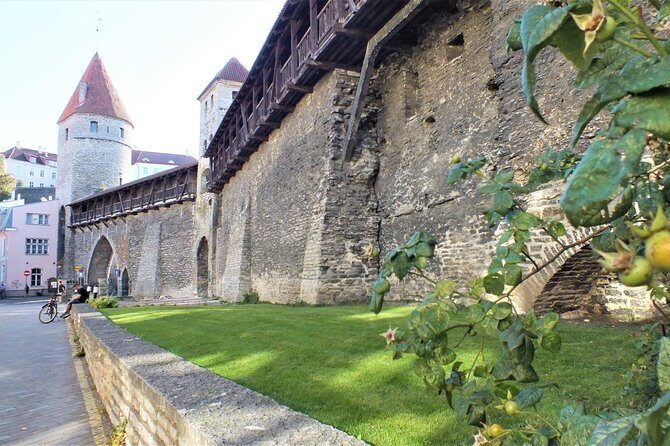 Private 2.5-Hour Tour of Tallinn Old Town in a Spacious Mercedes Minivan - Who Will Love This Tour?