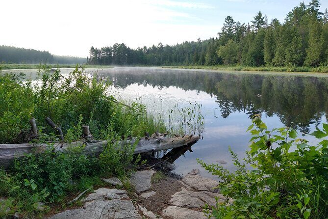 Private 4 Day Algonquin Park Backcountry Canoe Trip - The Experience in Detail