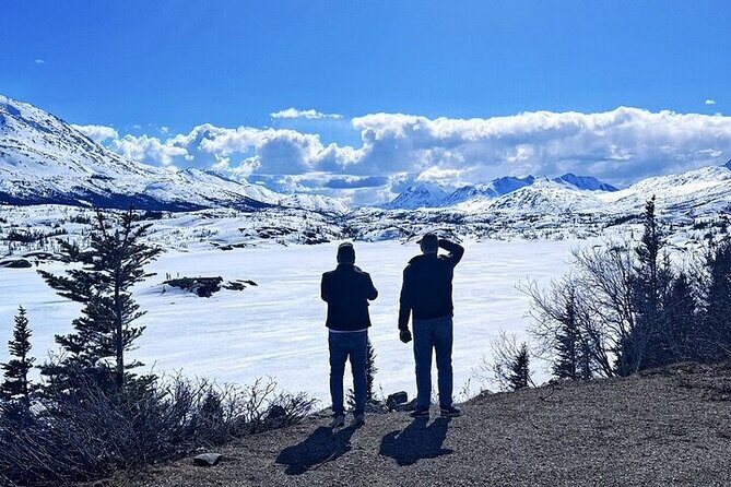 Private 4 Hour tour to White Pass and the Yukon Suspension Bridge - Who This Tour Is Best For
