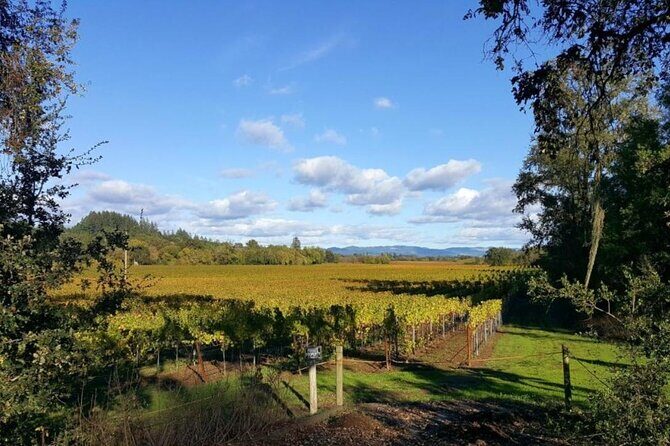 Private 5 day California Vineyards, Waves and Wine Tour - What Travelers Can Expect