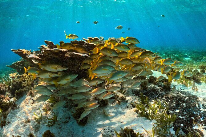 Private 6 Hours Yacht, Cancun to Isla Mujeres - Potential Drawbacks and Considerations