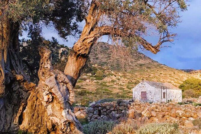 Private Aegina Island Tour with a Local Certified Guide - Authentic Experience and Guides’ Expertise