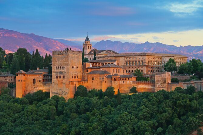 Private Alhambra & Nasrid Palaces Tour . From Malaga and Surronds - Detailed Breakdown of the Tour Experience