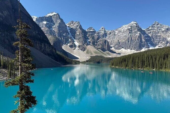 Private and Customizable Transport Airport Pickups and Drop Offs - Who Should Consider This Service?