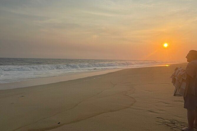 Private Baby Sea Turtle Release Huatulco HT - Why It’s a Great Choice for Certain Travelers