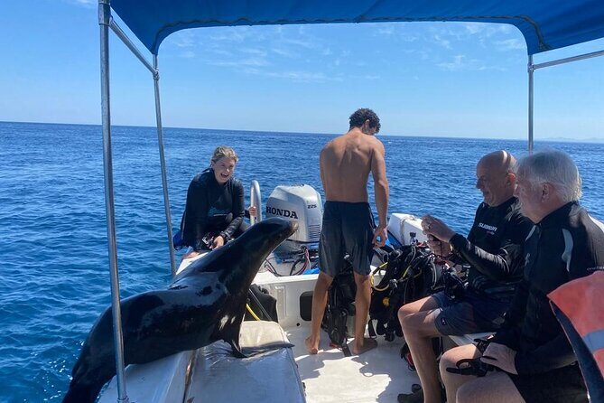 Private Balandra Bay Adventure - Who Should Consider This Tour?