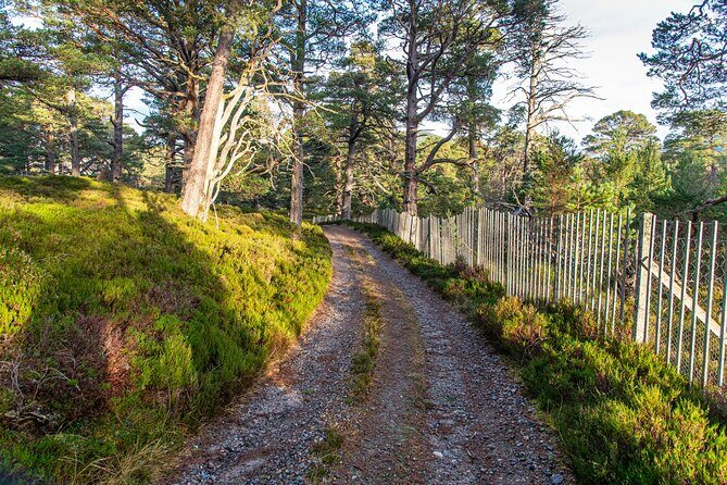 Private Balmoral Walking Tour to Queens Secret Cabin & the Castle - Exploring the Itinerary: A Closer Look