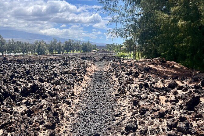 Private Big Island: History & Local Market Tour (Up to 12) - Who Should Consider This Tour?