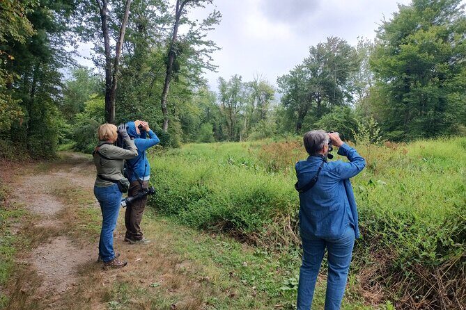 Private Birdwatching Walking Activity in Hendersonville - Who Will Love This Tour?