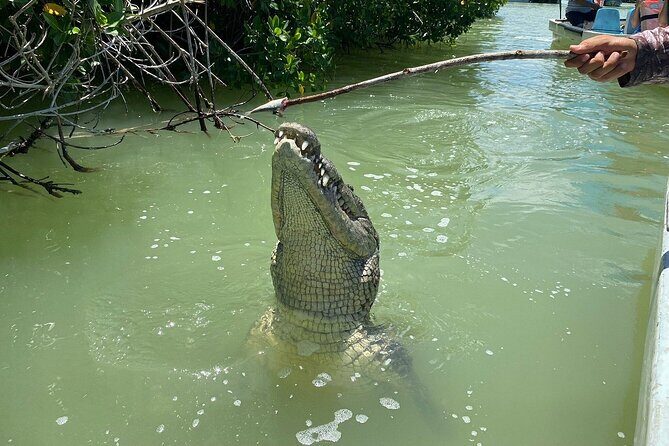 Private Boat Tour of Rio Lagartos - Authenticity and the Value of a Private Tour