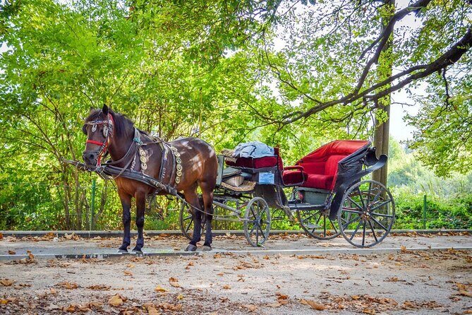 Private Carriage Ride in Vrelo Bosne Nature Park - The Sum Up